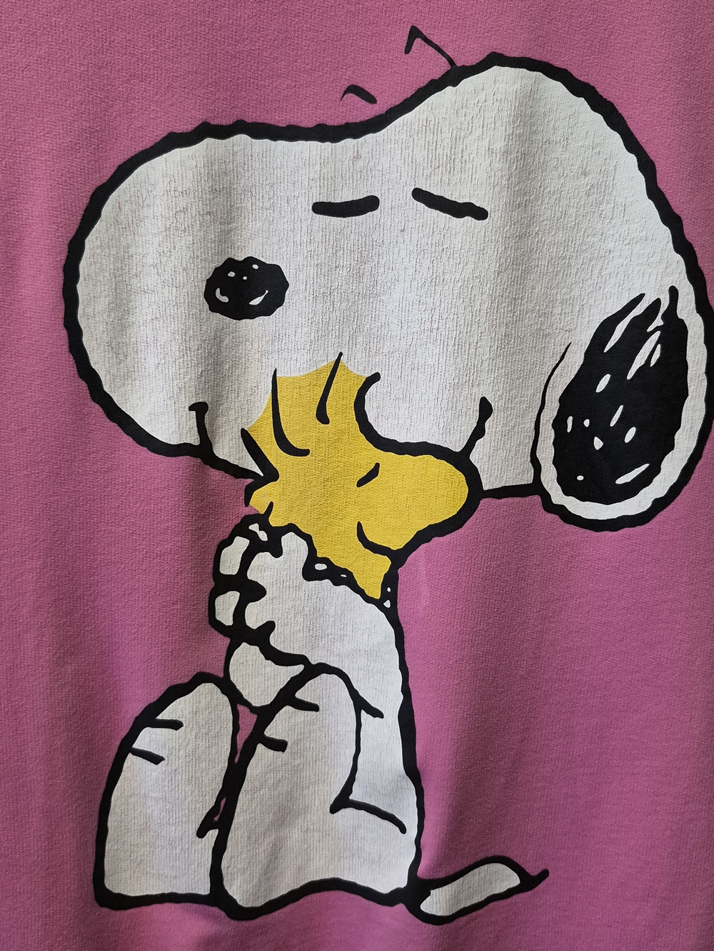 H&M Pink Snoopy & Woodstock Graphic Dog Tee